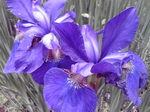 image/2011-06-09T08:46:57-3.jpg