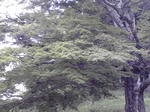 image/2012-06-24T13:23:08-1.jpg