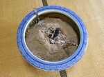 image/2013-01-12T15:33:45-2.jpg