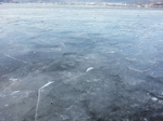 image/2013-01-12T16:18:03-2.jpg